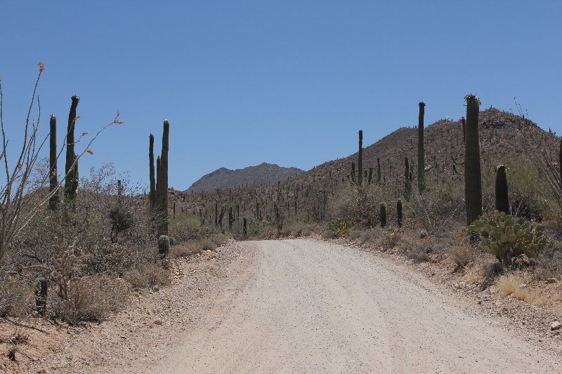 USA 2013 603